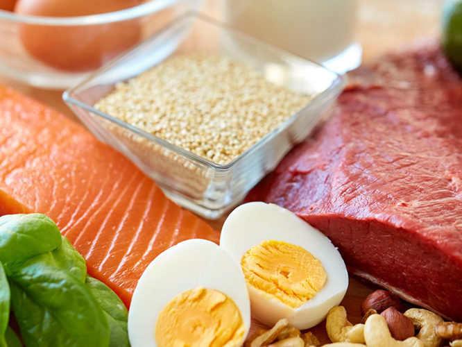 proteinová dieta - povolené potraviny