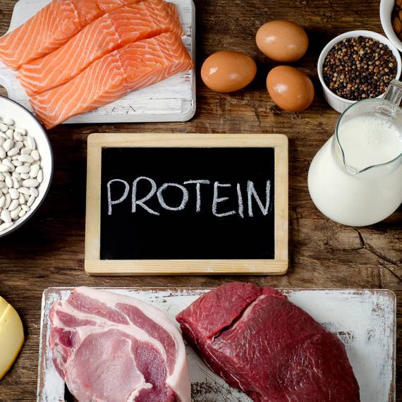 bílkoviny v potravě